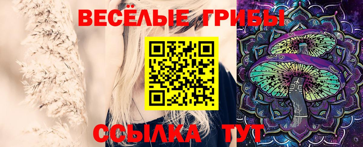 Галлюциногенные грибы Magic Shrooms Холмск