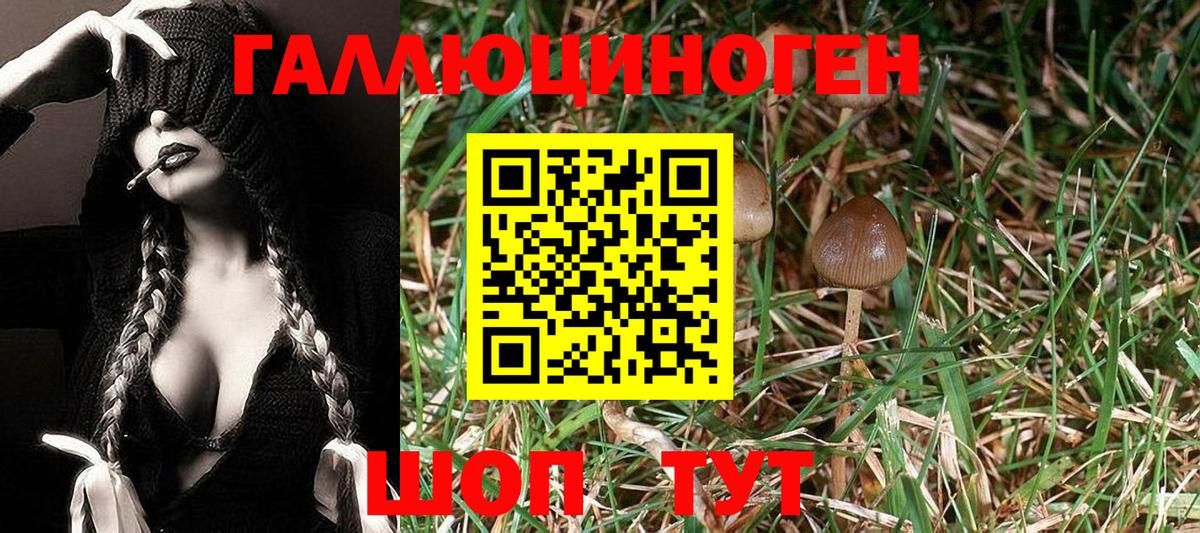 Галлюциногенные грибы Magic Shrooms  Вход с VPN  Холмск 